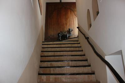 ریاد ساراه سابرینا