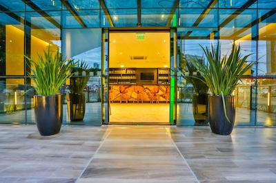 هلید این گویانیا