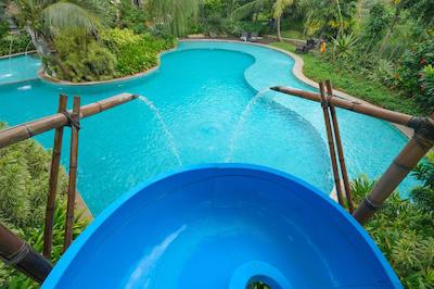 ریال تولیپ اسپرینگهیل ریزرت جیمباران