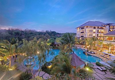 ریال تولیپ اسپرینگهیل ریزرت جیمباران