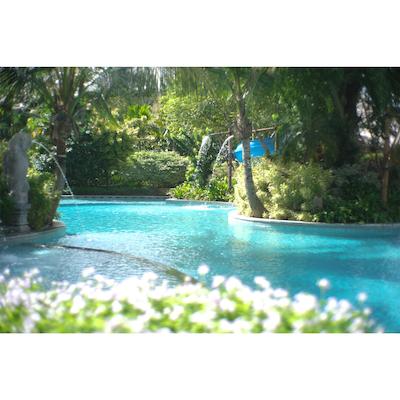 ریال تولیپ اسپرینگهیل ریزرت جیمباران