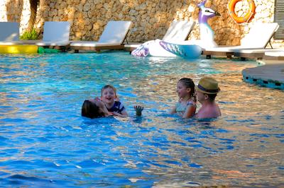 ریال تولیپ اسپرینگهیل ریزرت جیمباران