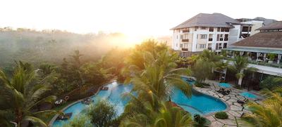 ریال تولیپ اسپرینگهیل ریزرت جیمباران