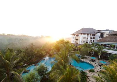 ریال تولیپ اسپرینگهیل ریزرت جیمباران