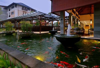 ریال تولیپ اسپرینگهیل ریزرت جیمباران