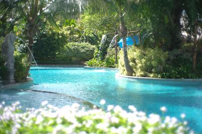 ریال تولیپ اسپرینگهیل ریزرت جیمباران