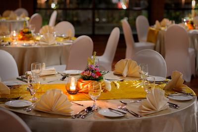 ریال تولیپ اسپرینگهیل ریزرت جیمباران