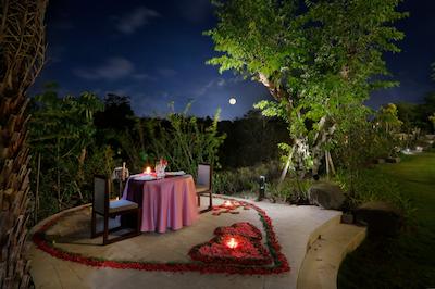 ریال تولیپ اسپرینگهیل ریزرت جیمباران