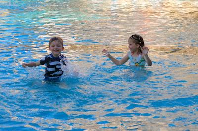 ریال تولیپ اسپرینگهیل ریزرت جیمباران