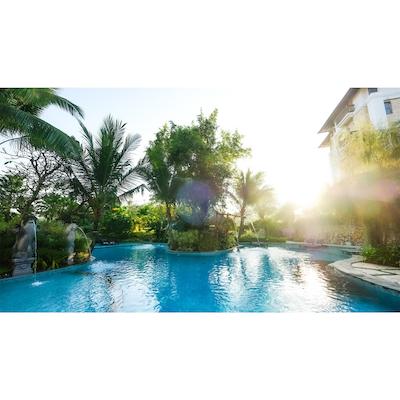 ریال تولیپ اسپرینگهیل ریزرت جیمباران