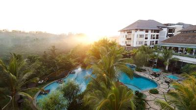 ریال تولیپ اسپرینگهیل ریزرت جیمباران