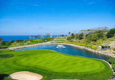 ریال تولیپ اسپرینگهیل ریزرت جیمباران