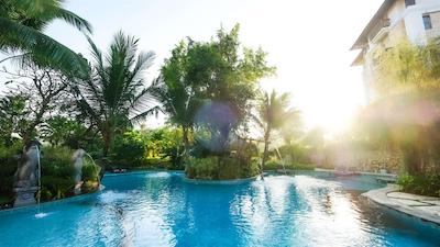 ریال تولیپ اسپرینگهیل ریزرت جیمباران