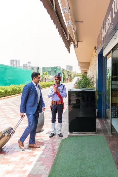 گولدن تولیپ سویتز گورگان