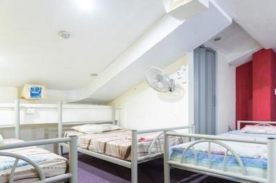 اسنوز این @دونلپ استریت