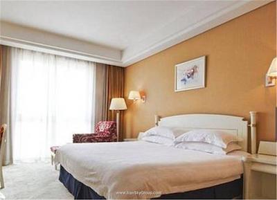 شانکسی بیزینس