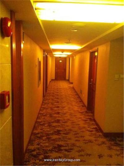 شانکسی بیزینس