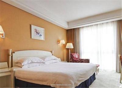 شانکسی بیزینس