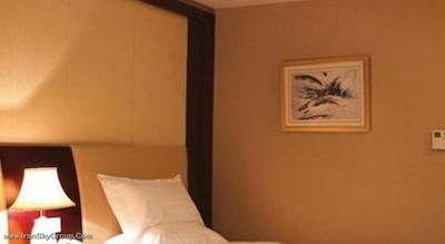 شانکسی بیزینس