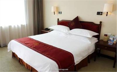 شانکسی بیزینس