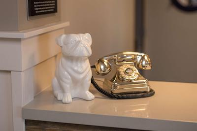 بست وسترن پلاس کامرنز این