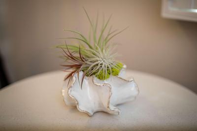 بست وسترن پلاس کامرنز این