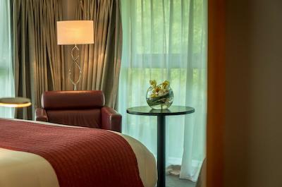 رادیسن بلو هتل اند اسپا