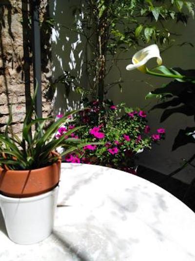 کاسا د لز نارانجز