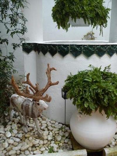 کاسا د لز نارانجز