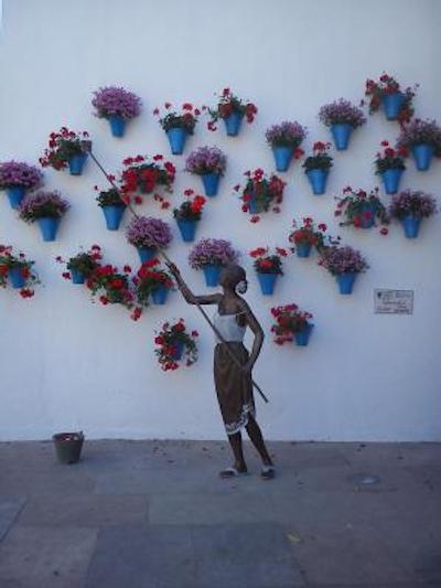 کاسا د لز نارانجز