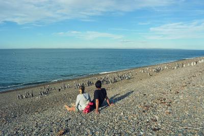 هتل د کمپو ال پدرال