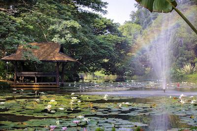 لامپانگ ریور لج