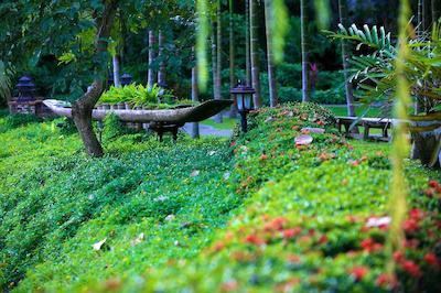 لامپانگ ریور لج