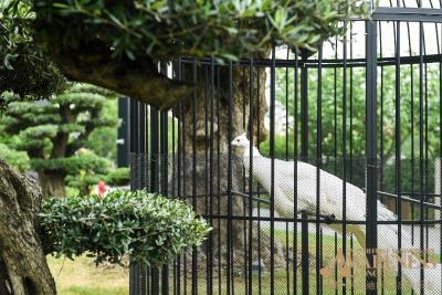 د اناندی هتل اند اسپا شانگهای