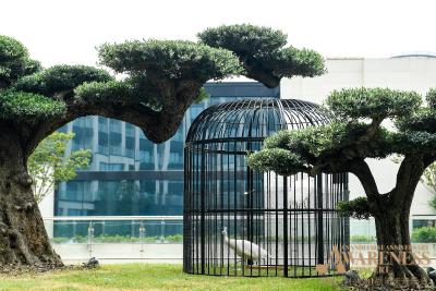 د اناندی هتل اند اسپا شانگهای