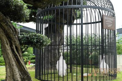 د اناندی هتل اند اسپا شانگهای