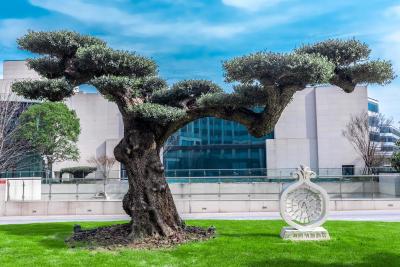 د اناندی هتل اند اسپا شانگهای