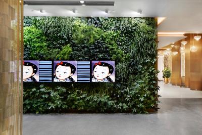 آرتیزن هابیتات دنگژیمن بیجینگ