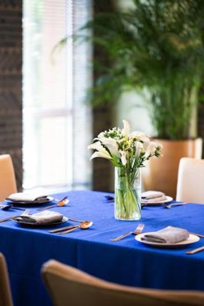 آرتیزن هابیتات دنگژیمن بیجینگ