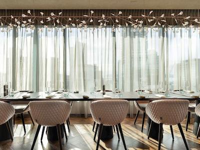 سُ سُفیتل اوکلاند