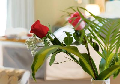 ال مانسور سوئیتس هتل