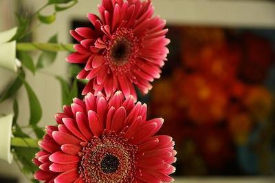 تپ کونتریلین هتل رد ام استراند