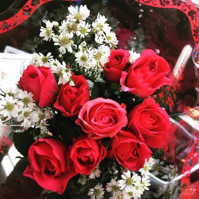 پومریا ریزورت پوکت