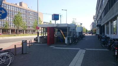 پستانا امستردام ریورسید