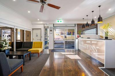 کوالیتی این ناپیر