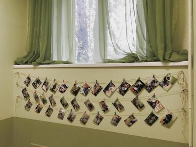 هاستل زاخودی نا پاولتسکوی