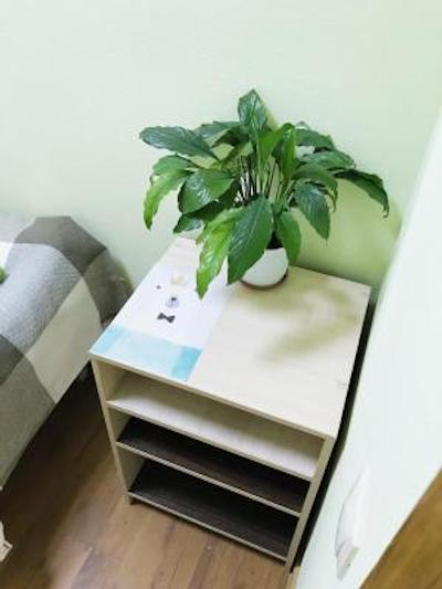 هاستل زاخودی نا پاولتسکوی