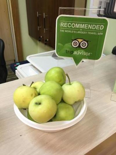 هاستل زاخودی نا پاولتسکوی