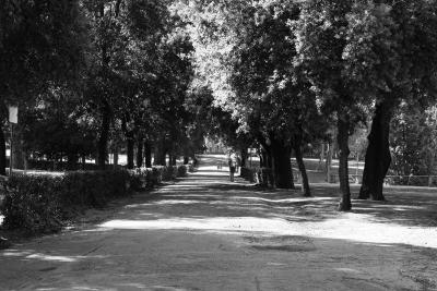 هتل پریسسیلا