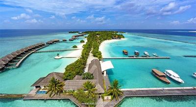 شرایتون مالدیو فول مون ریزورت اند اسپا